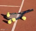 Tennis Chicken