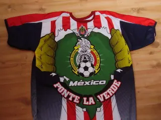 fanshirtchivas1.jpg