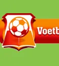 vpp_logo_blokje