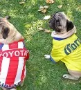 dog_soccer-117x130