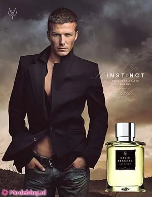 beckham