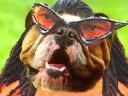 Edgar Davids