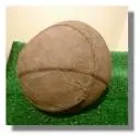 Voetbal varkens blaas