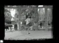Freestyle