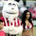 Lucky mascotte