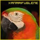 Kanarie