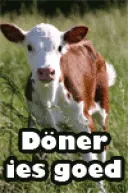 robbus5.gif