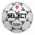 Futsal