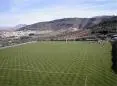 fields.jpg