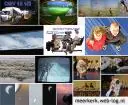 compilatie