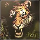tot.thumbnail