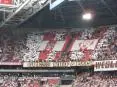 Tifosi Amsterdam