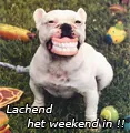 lach2.jpg
