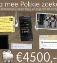 pokkiezoeken_1