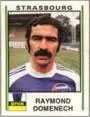 Raymond Domenech