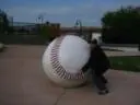 Grote bal