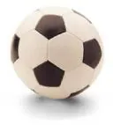 Voetbal